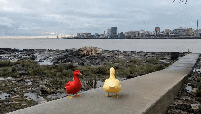 Patos de goma en la playa